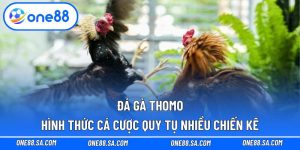 Đá Gà Thomo